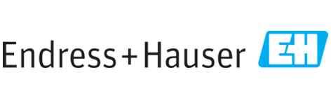 endress+hauser